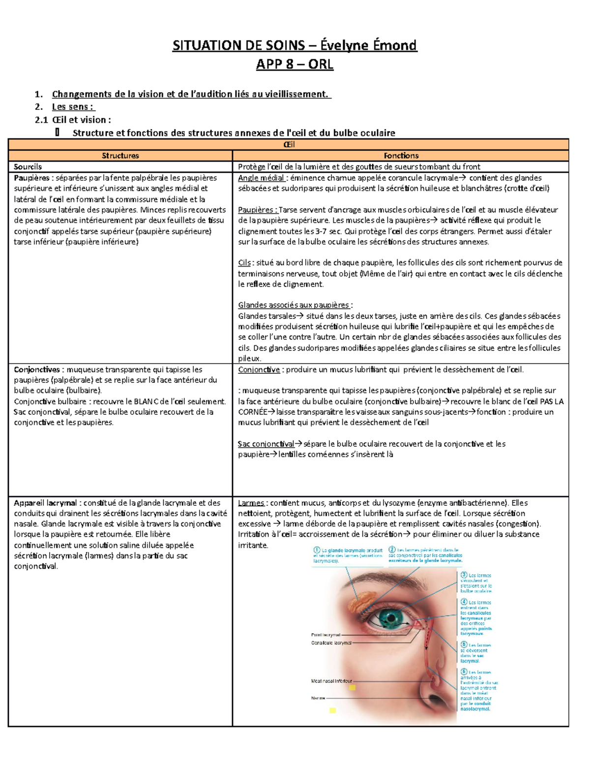 APP 8 - Notes de Cours sur l'ORL et l'Anatomie de l'Œil - Studocu