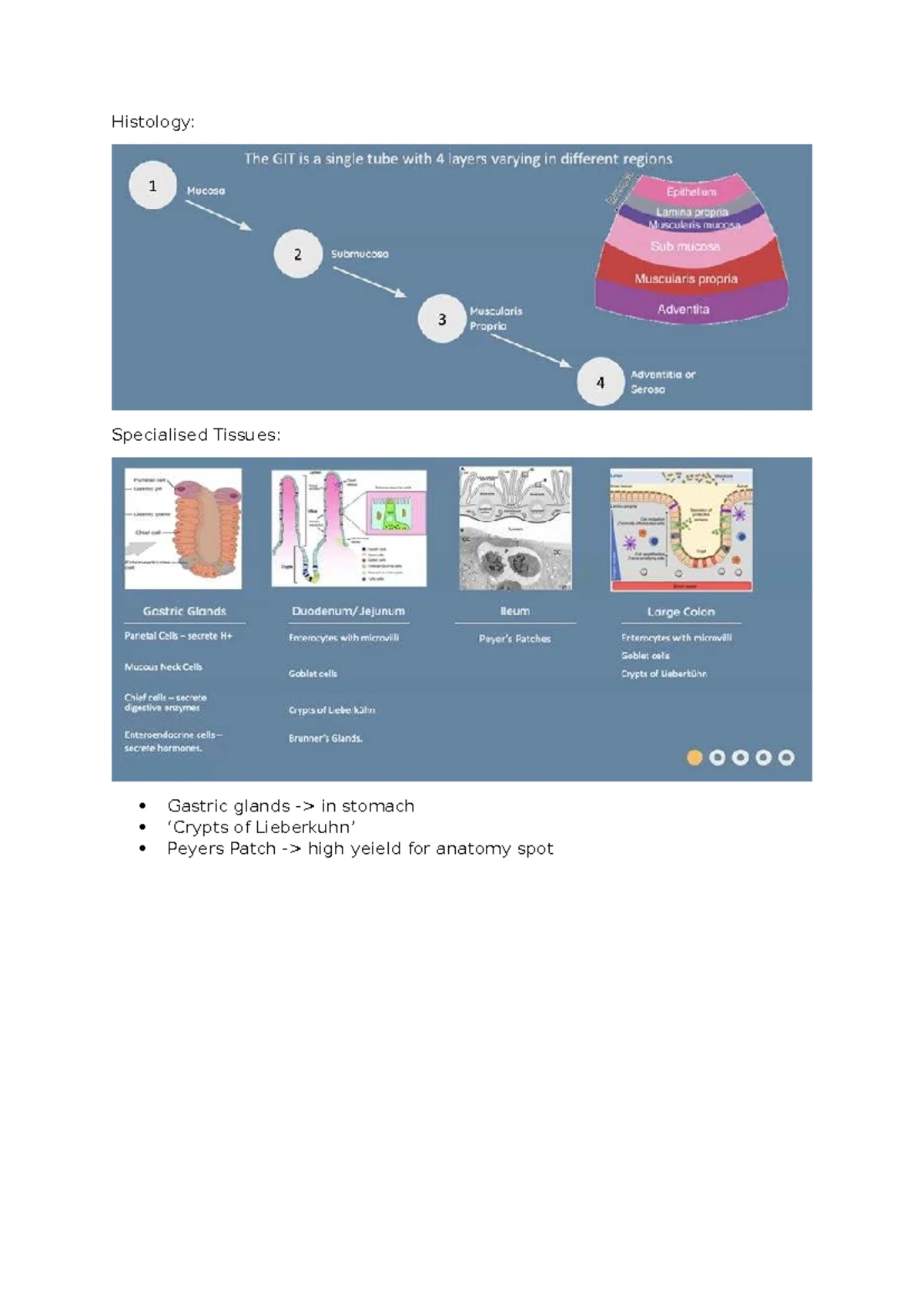 BTS Guidelines: Clinical Pathways for Pleural Diseases (2023) - Studocu
