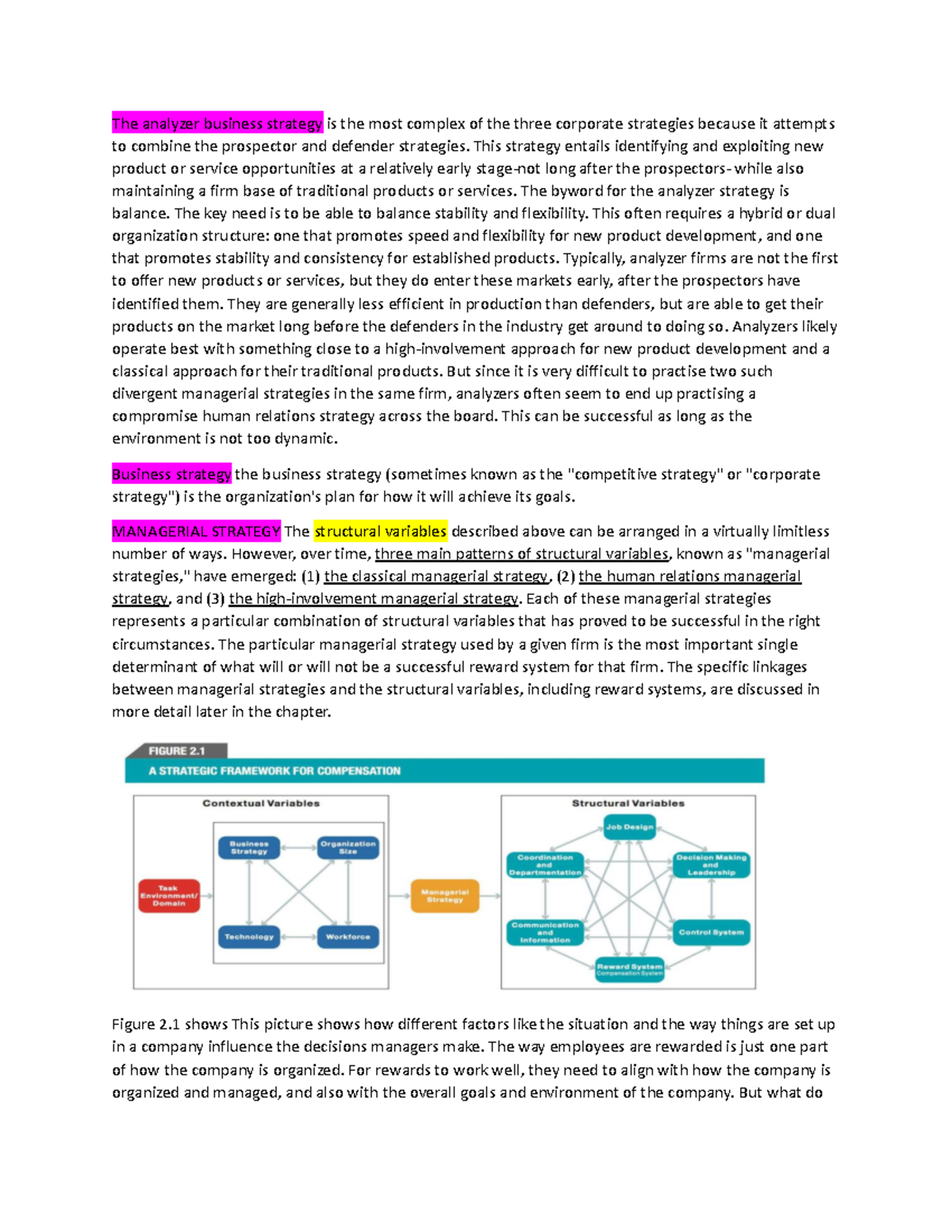 Analyzing the Analyzer Business Strategy: A Complex Corporate Approach ...