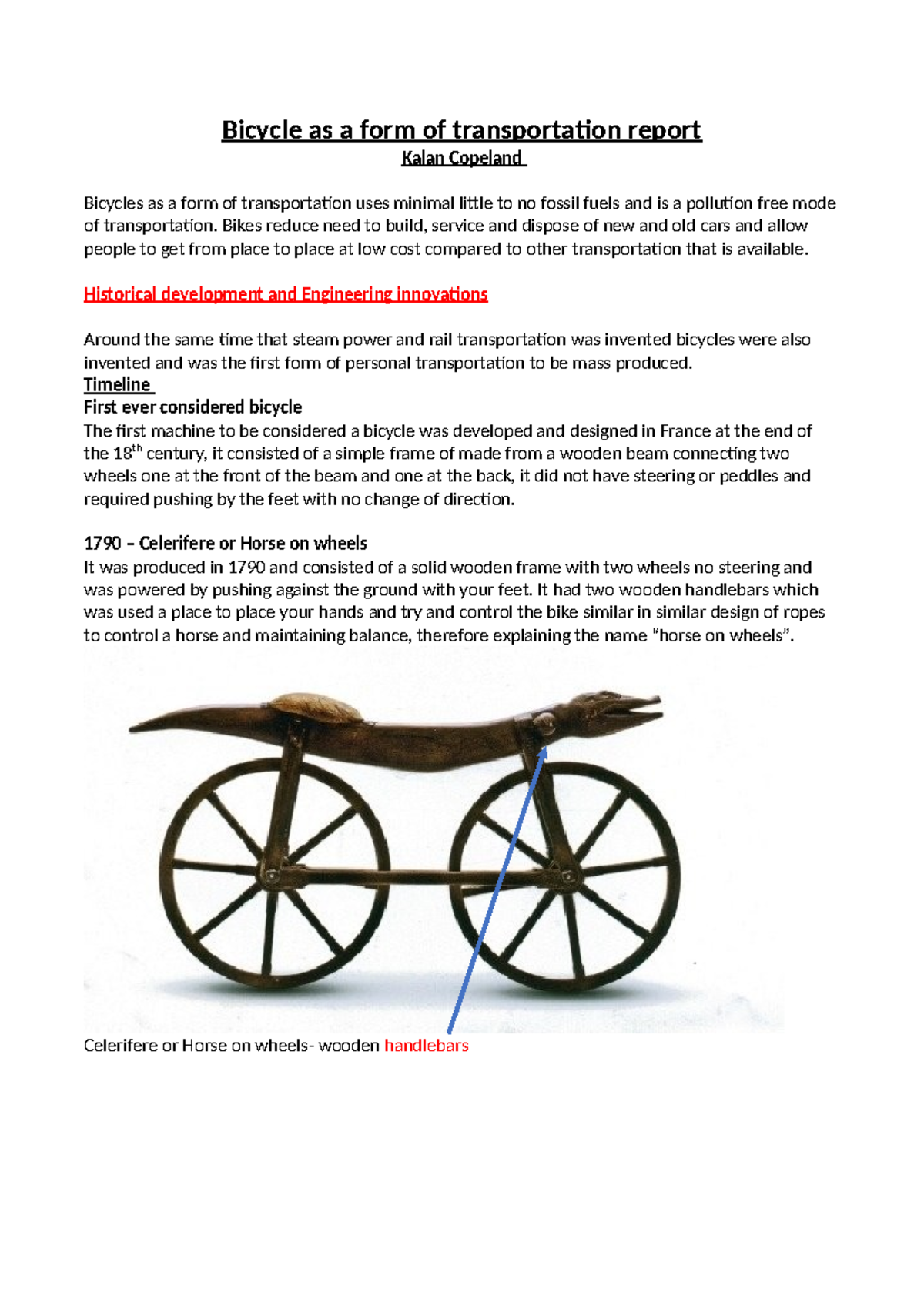 Bicycle Transportation Report: Innovations and Environmental Impact ...