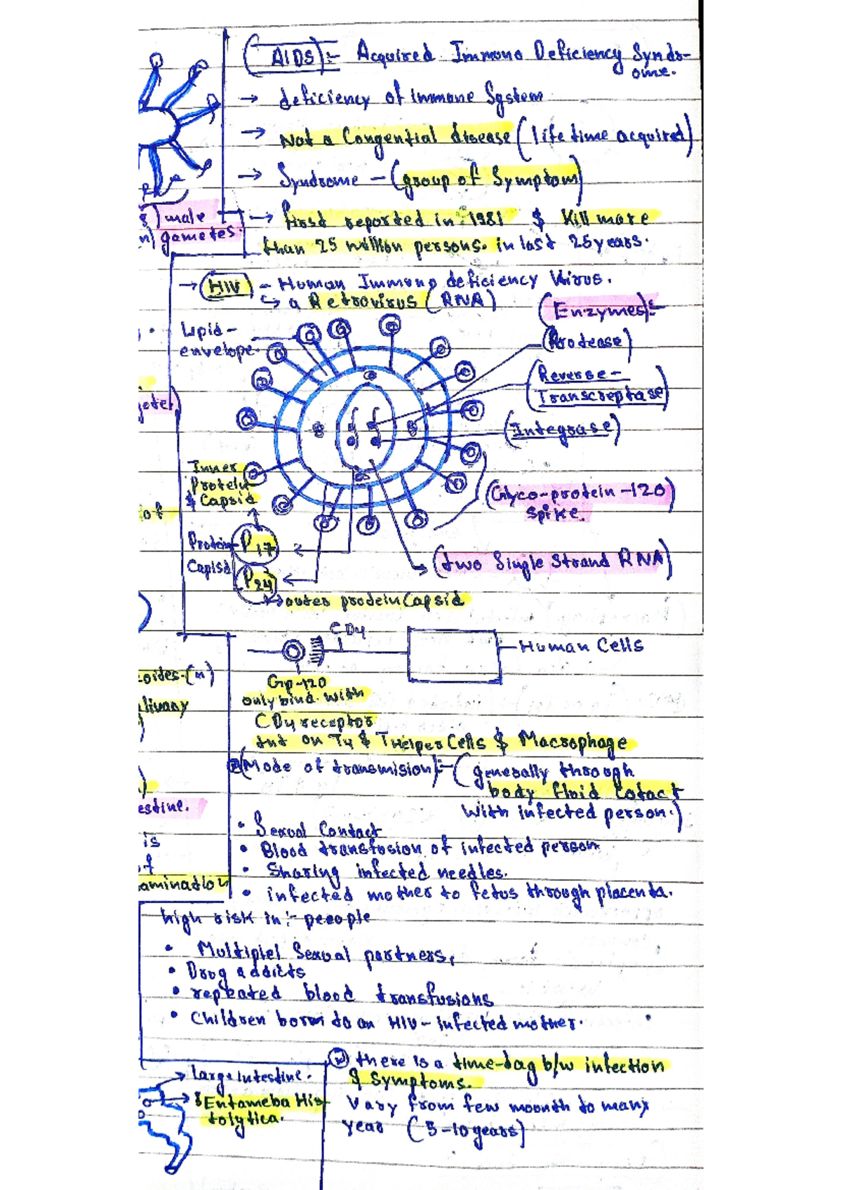AIDS Overview: Key Notes on HIV and Acquired Immunodeficiency - Studocu