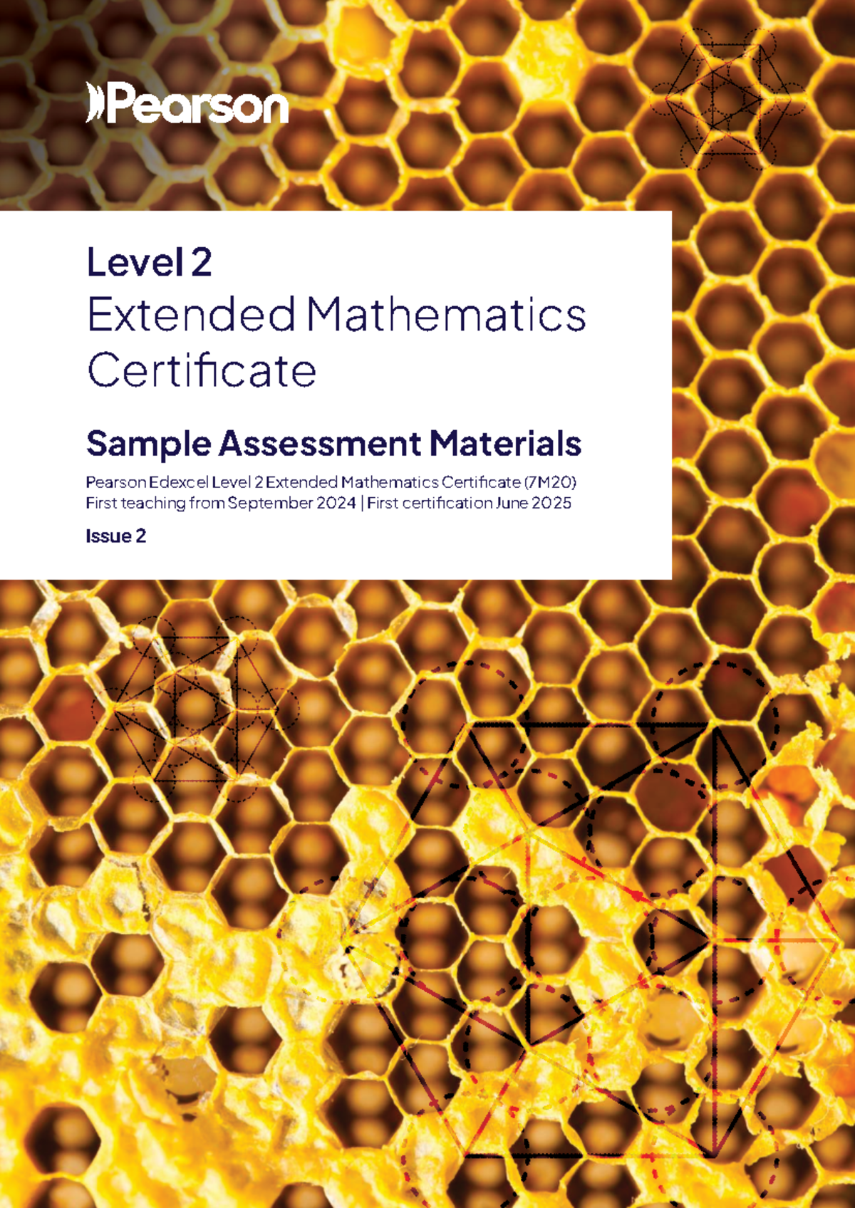 Sample Assessment Materials for Pearson Edexcel Level 2 Extended ...