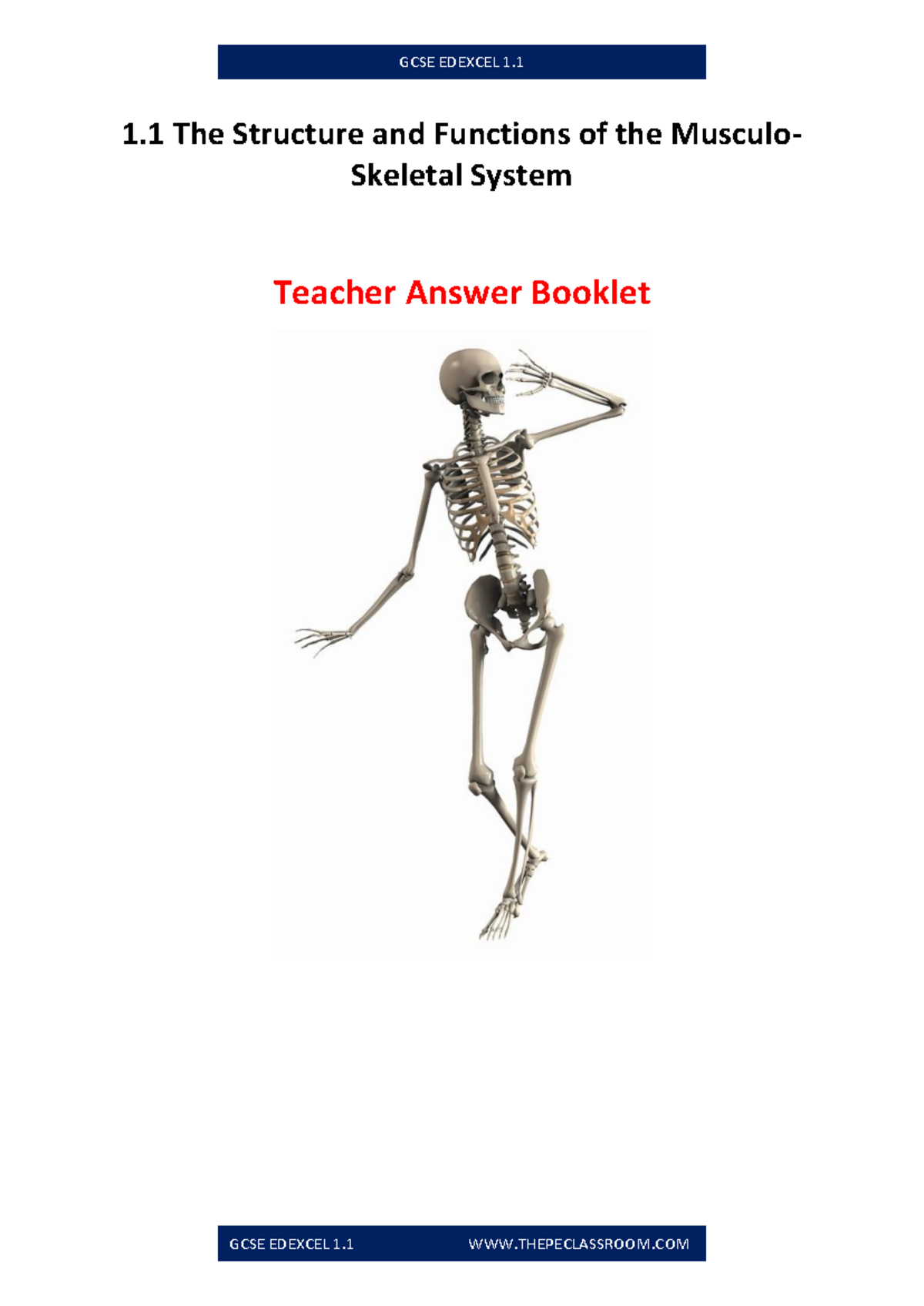 GCSE EDEXCEL 1 Muscular & Skeletal System - Teacher Answer Booklet ...
