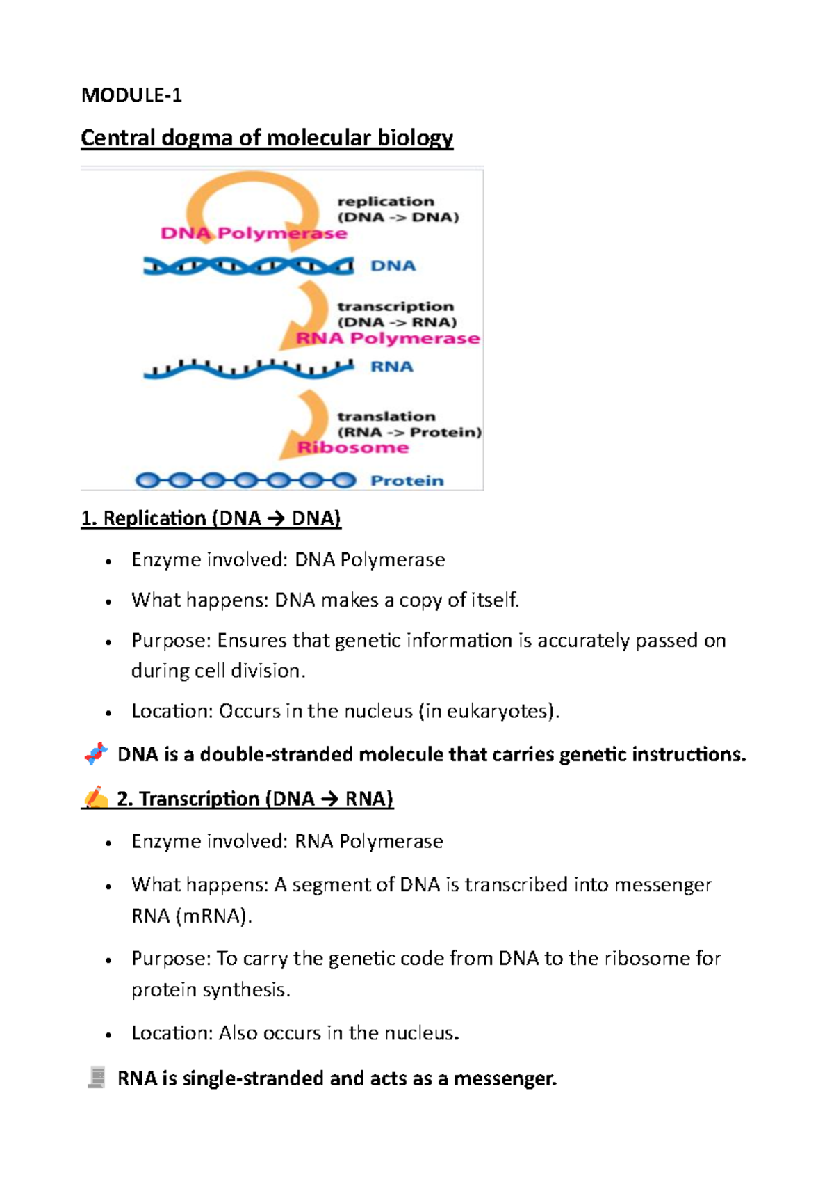 BIO Module-1: Central Dogma & RNA Interference Overview - Studocu