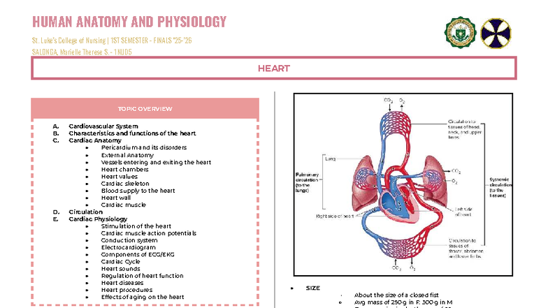 HUMAN ANATOMY AND PHYSIOLOGY 1NU05 HEART TOPIC OVERVIEW - 1ST SEMESTER ...