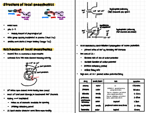 1 2 - Notes - Pharmacology ofthe brain I · Brain complexity : billions ...