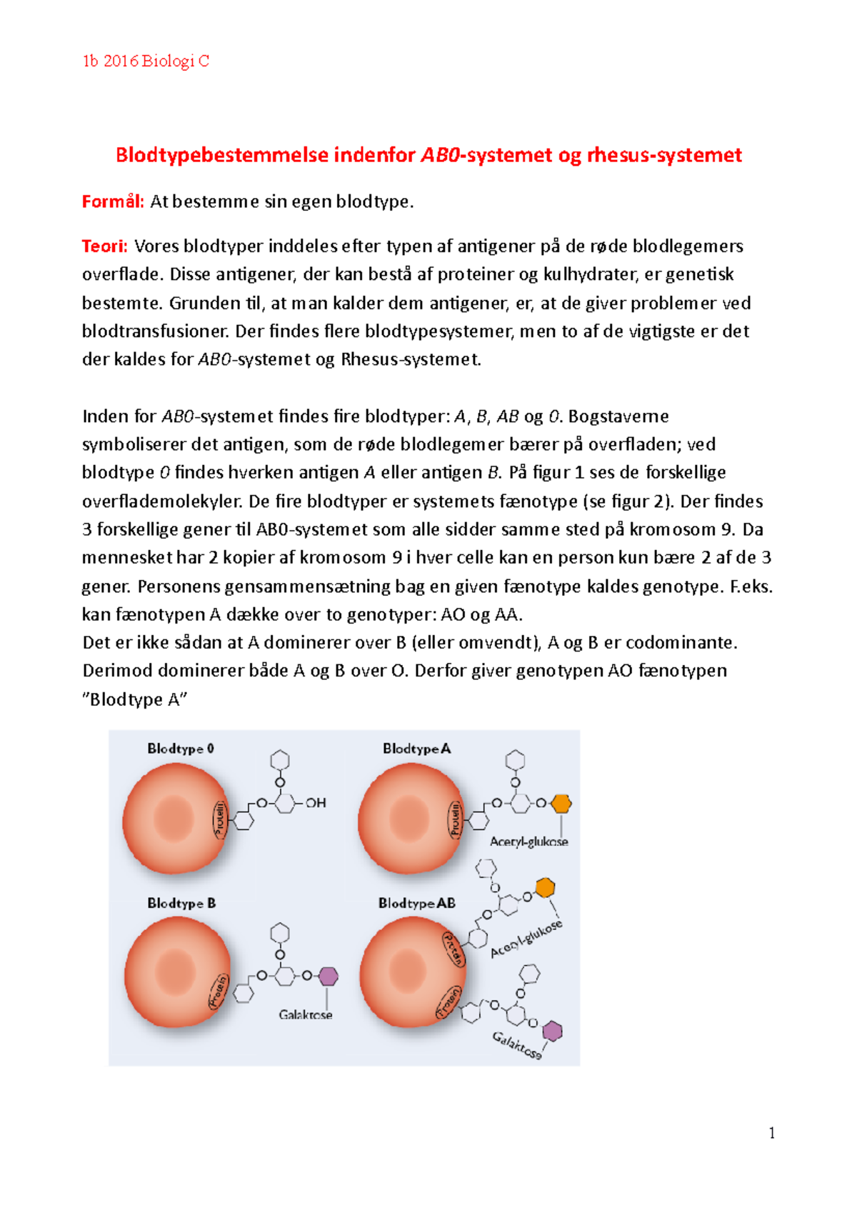 AB0-Systemet og Rhesus Blodtypebestemmelse - Noter til Studieformål ...
