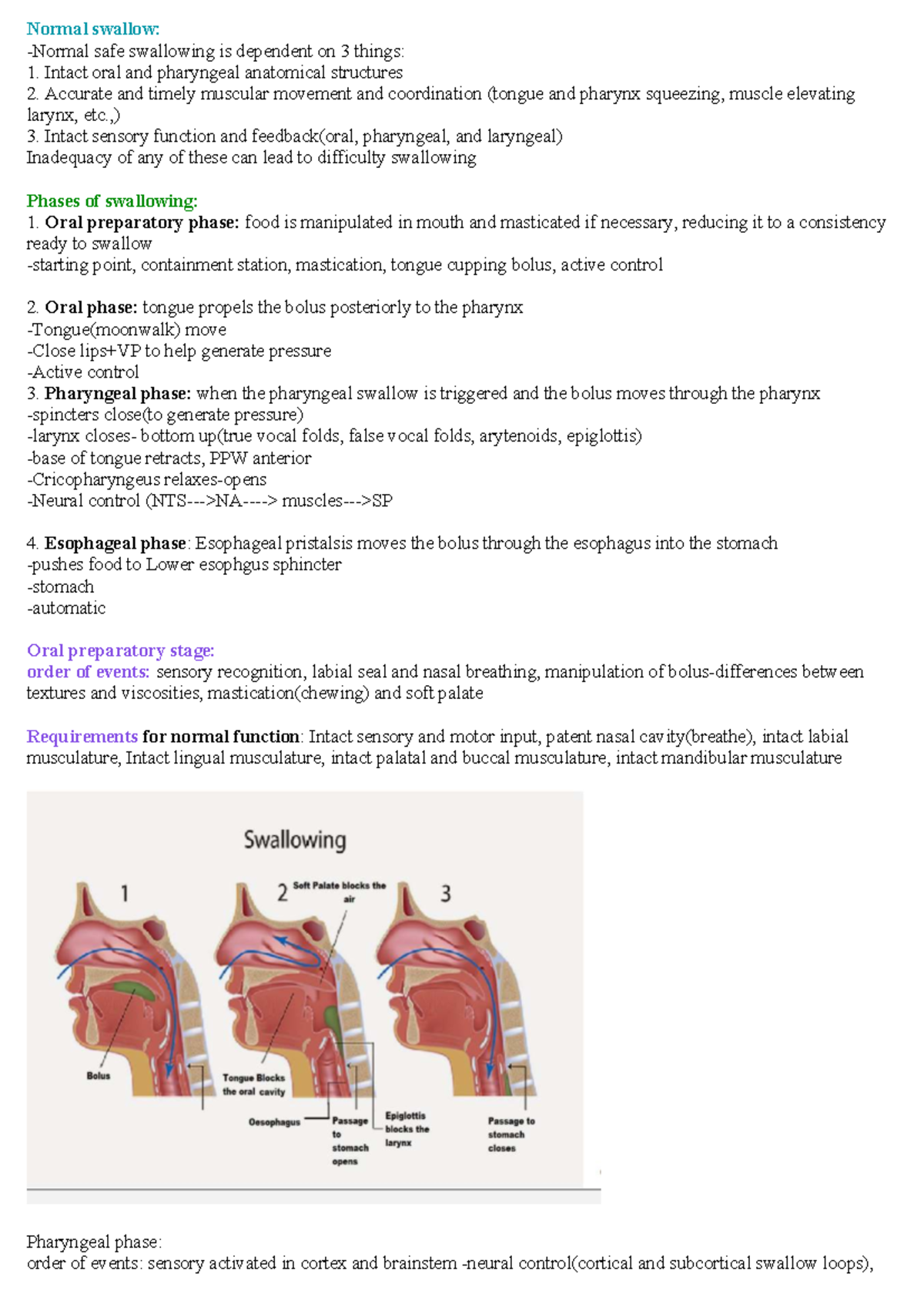 Normal Swallowing Mechanism Overview - Studocu