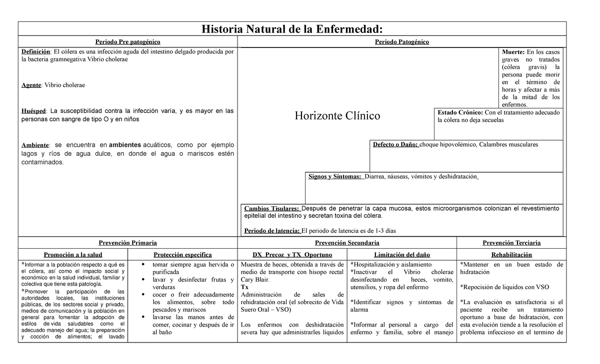 Formato DE Historia Natural - Historia natural de la enfermedad modelo