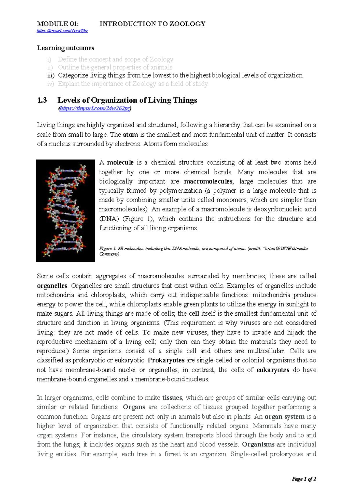 SZL 111 Module 01: Levels of Organization in Zoology Lecture Notes ...