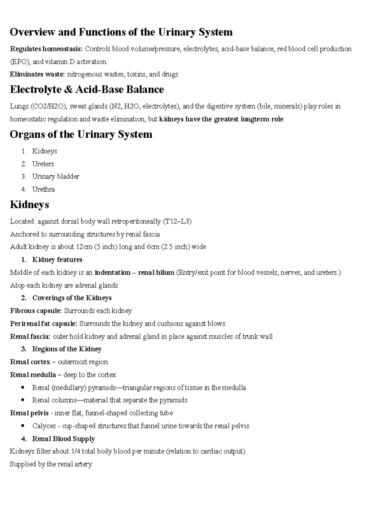 Summary of the Urinary System: Structure, Function & Homeostasis - Studocu