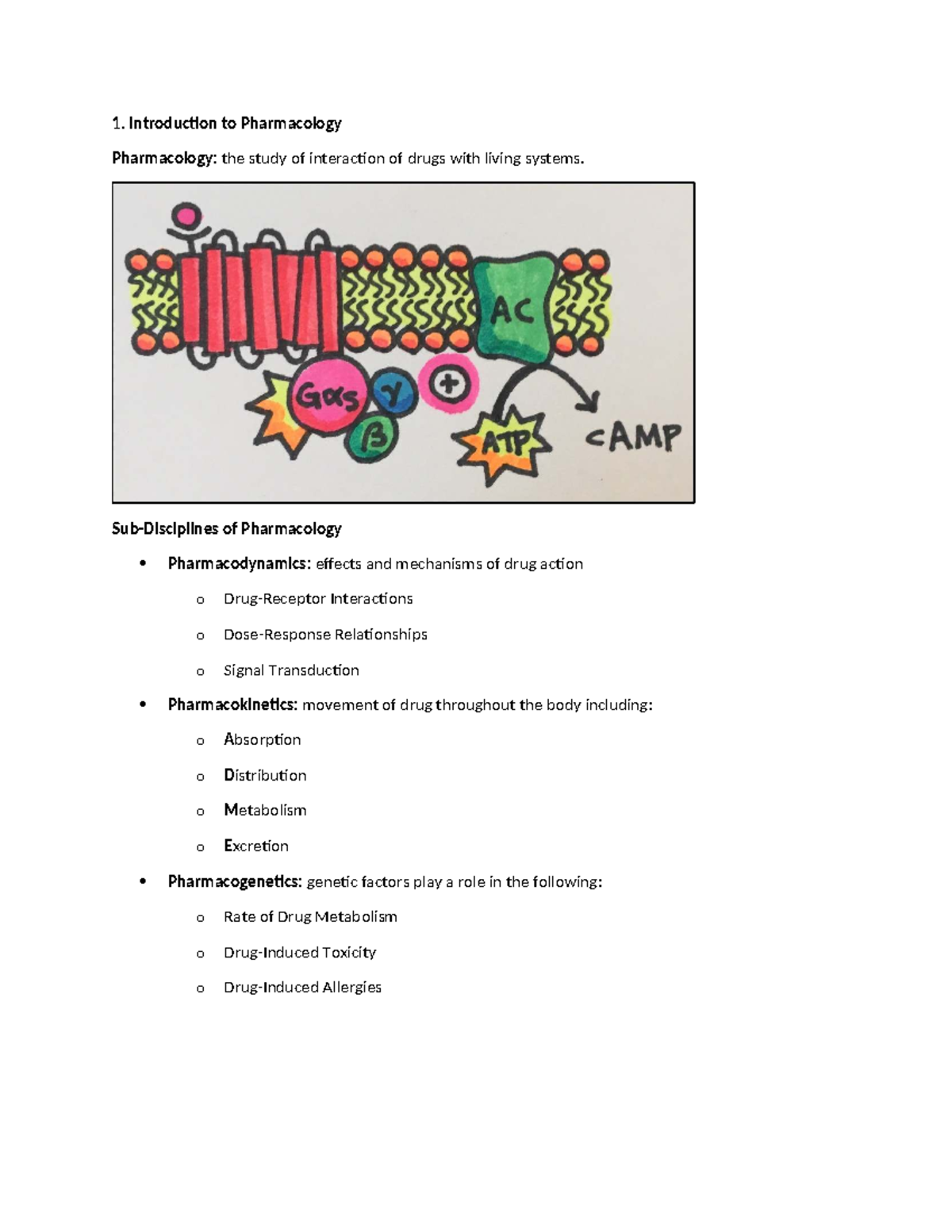 Pharmacology 101: Key Concepts in Drug Interactions and Effects - Studocu