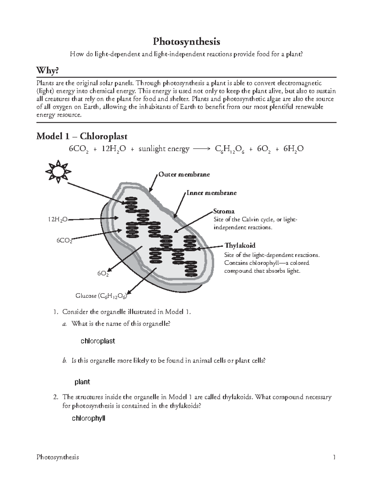 Photosynthesis Study Guide: Light Reactions & Calvin Cycle (BIOL-101 ...