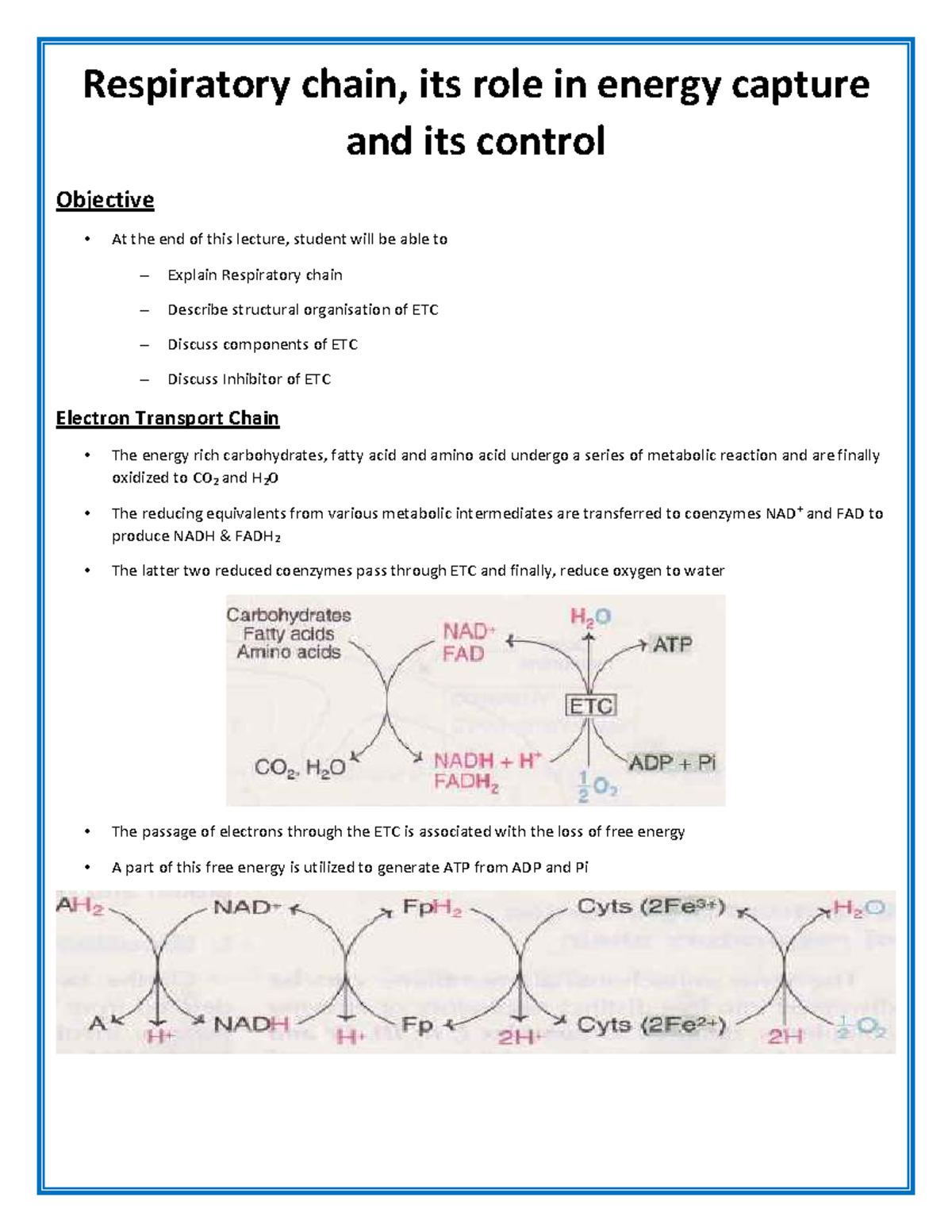 Respiratory Chain and Its Role in Energy Capture: Lecture Notes - Studocu