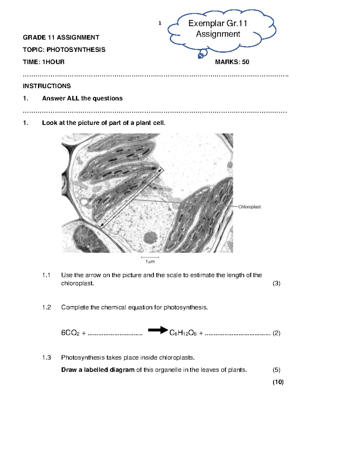 Grade 11 Assignment: Photosynthesis Investigation & Analysis - Studocu