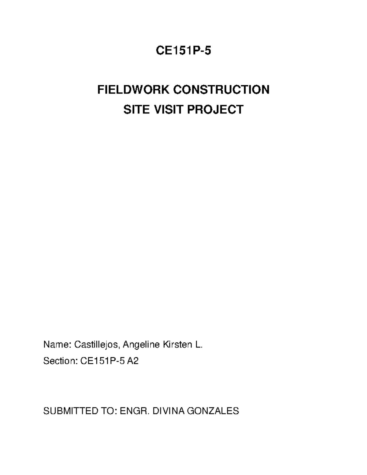 ENGR 101: Fieldwork Report on Construction Site Visit - Castillejos ...