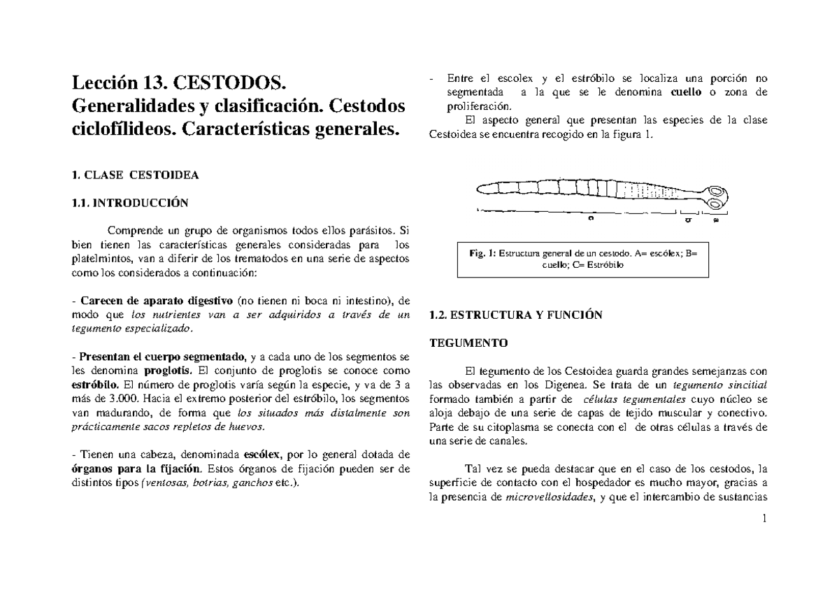 Lección 13. Cestodos: Generalidades y Clasificación (0607) - Studocu