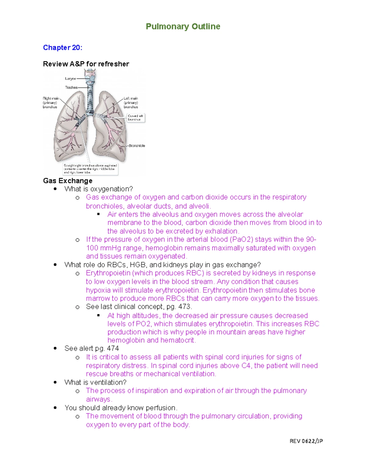Renal System Overview (Ch. 22 & 23): Key Concepts & Disorders - Studocu
