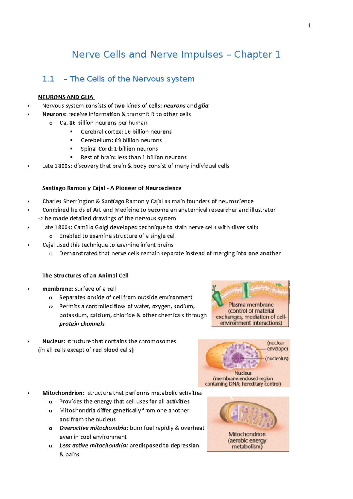 Chapter 1 - Bio 101: In-depth Summary of Nerve Cells & Impulses ...