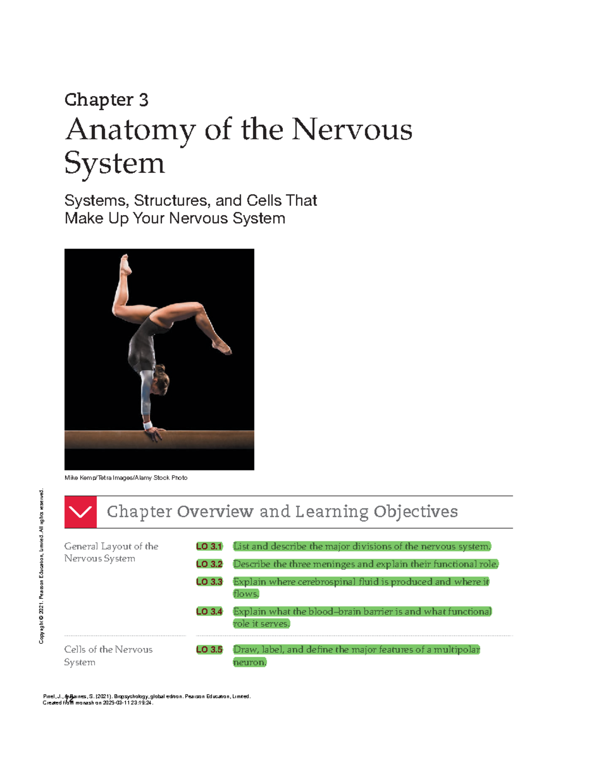 Anatomy of the Nervous System: Key Structures and Functions (M03 ...