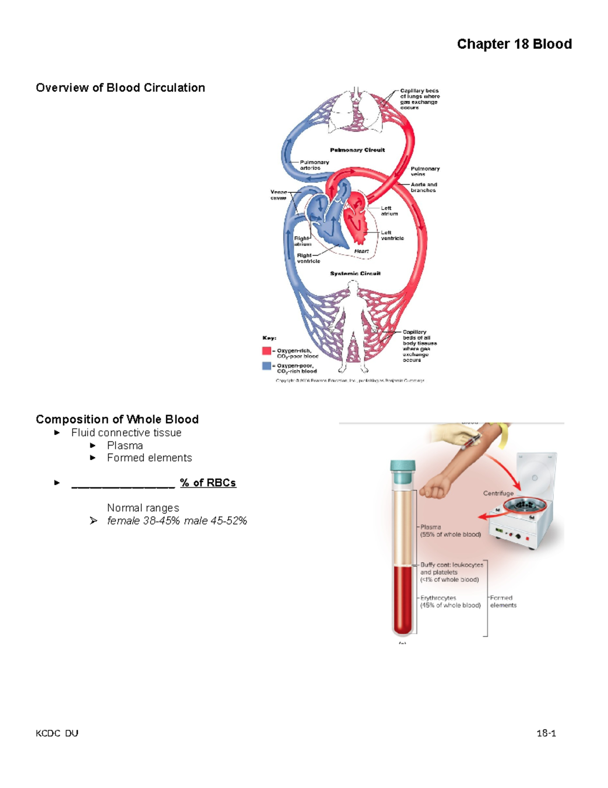 Blood Components and Functions: A Detailed Overview (KCDC DU 18-2 ...