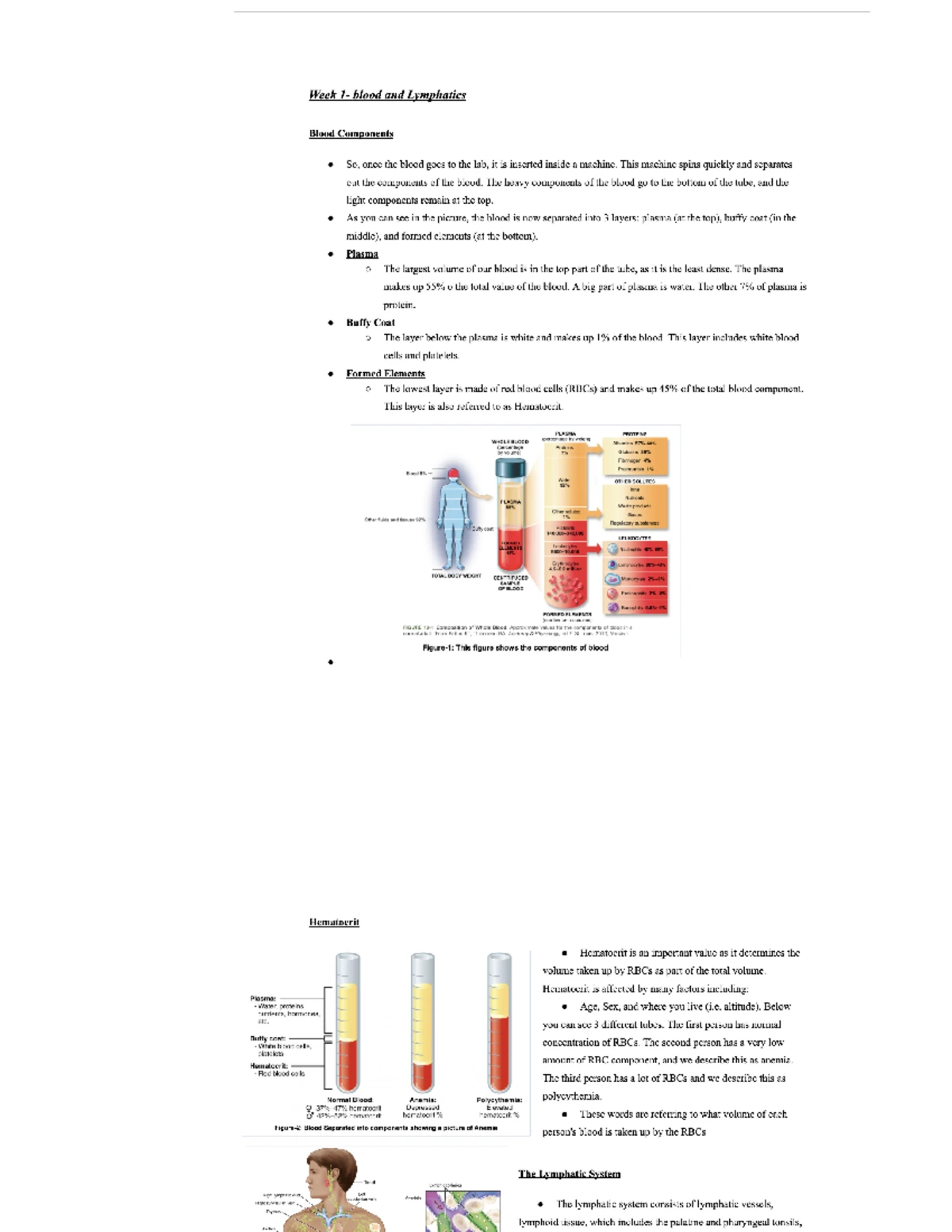 Major Components of the Immune System & Functions (Week 5) - Studocu