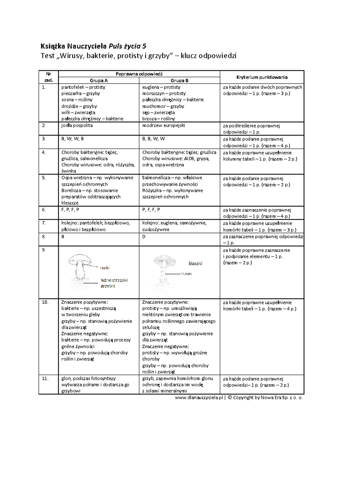 Sprawdzian Z Rzeczowników I Czasowników 5 Klasa www.studocu.com