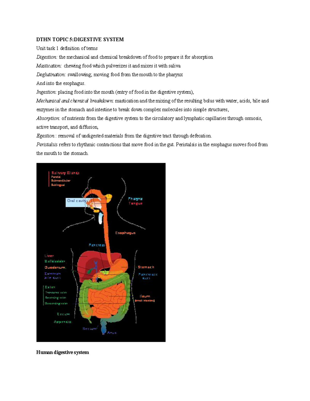 DTHN Topic 5 & 8: Digestive System and Diet in Disease Overview - Studocu