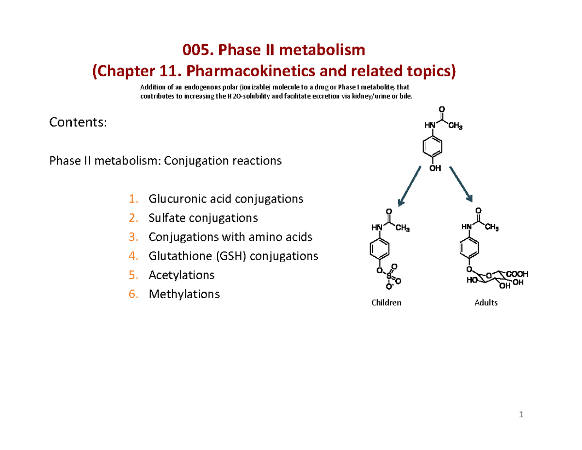 005 Final Exam: Phase II Metabolism Overview and Exercises - Studocu