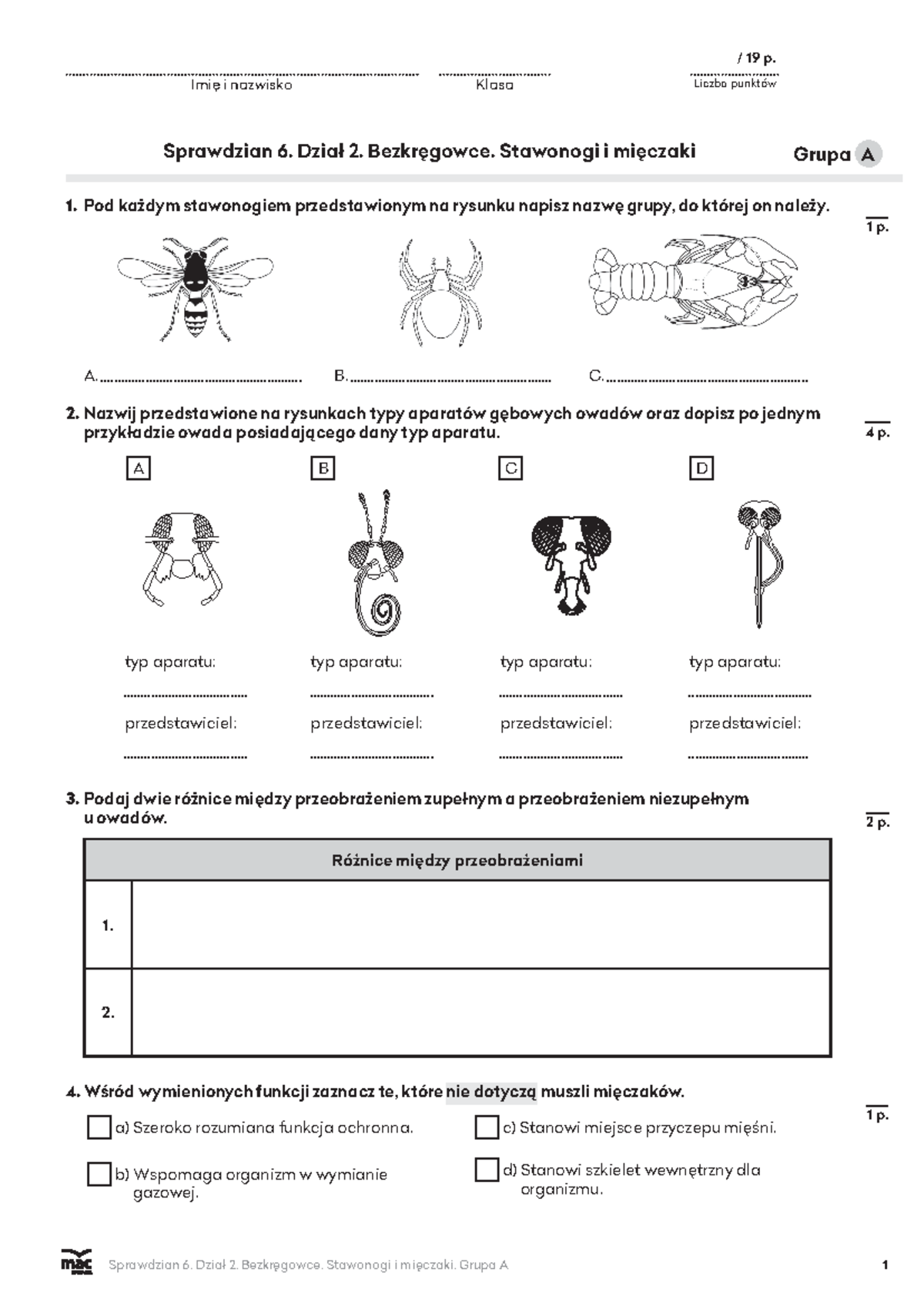 Bezkręgowce I Kręgowce Klasa 6 Sprawdzian