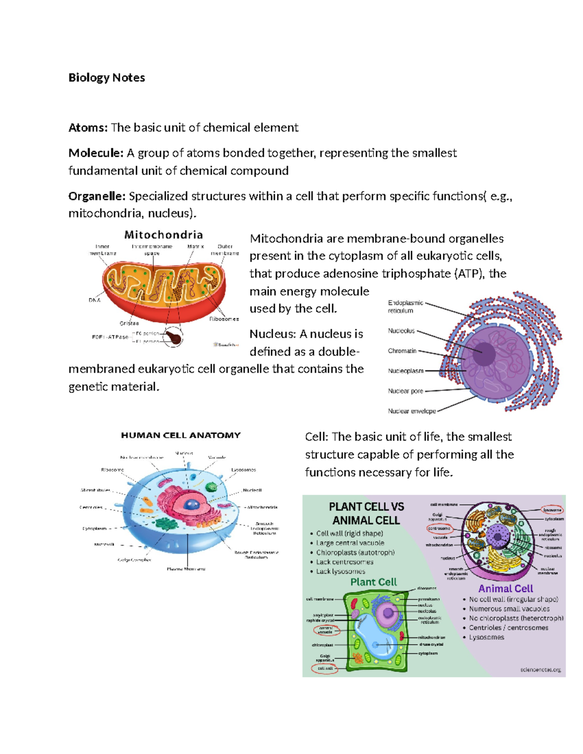 biology notes- chapter 1: coverage for P1 includes topic from week 1-3 ...