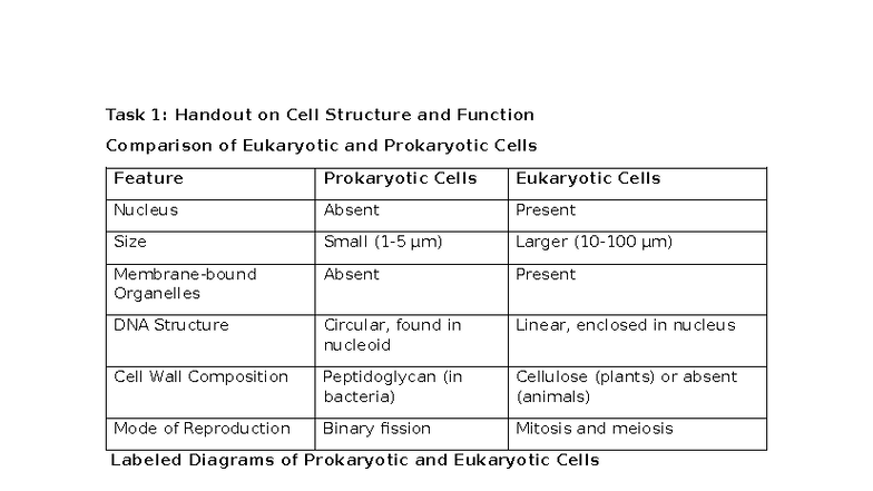 Unit 5: Comparison of Eukaryotic & Prokaryotic Cells and Mitosis ...