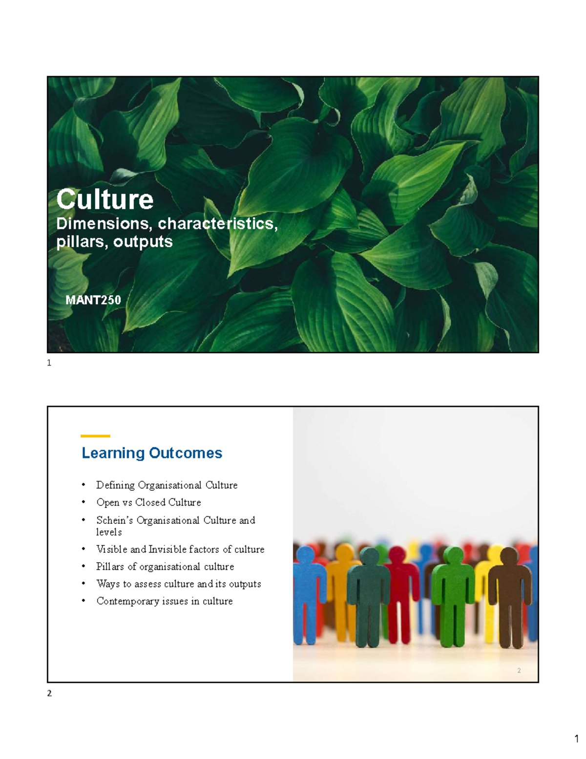 MANT250 Lecture 15: Understanding Organizational Culture Dimensions ...