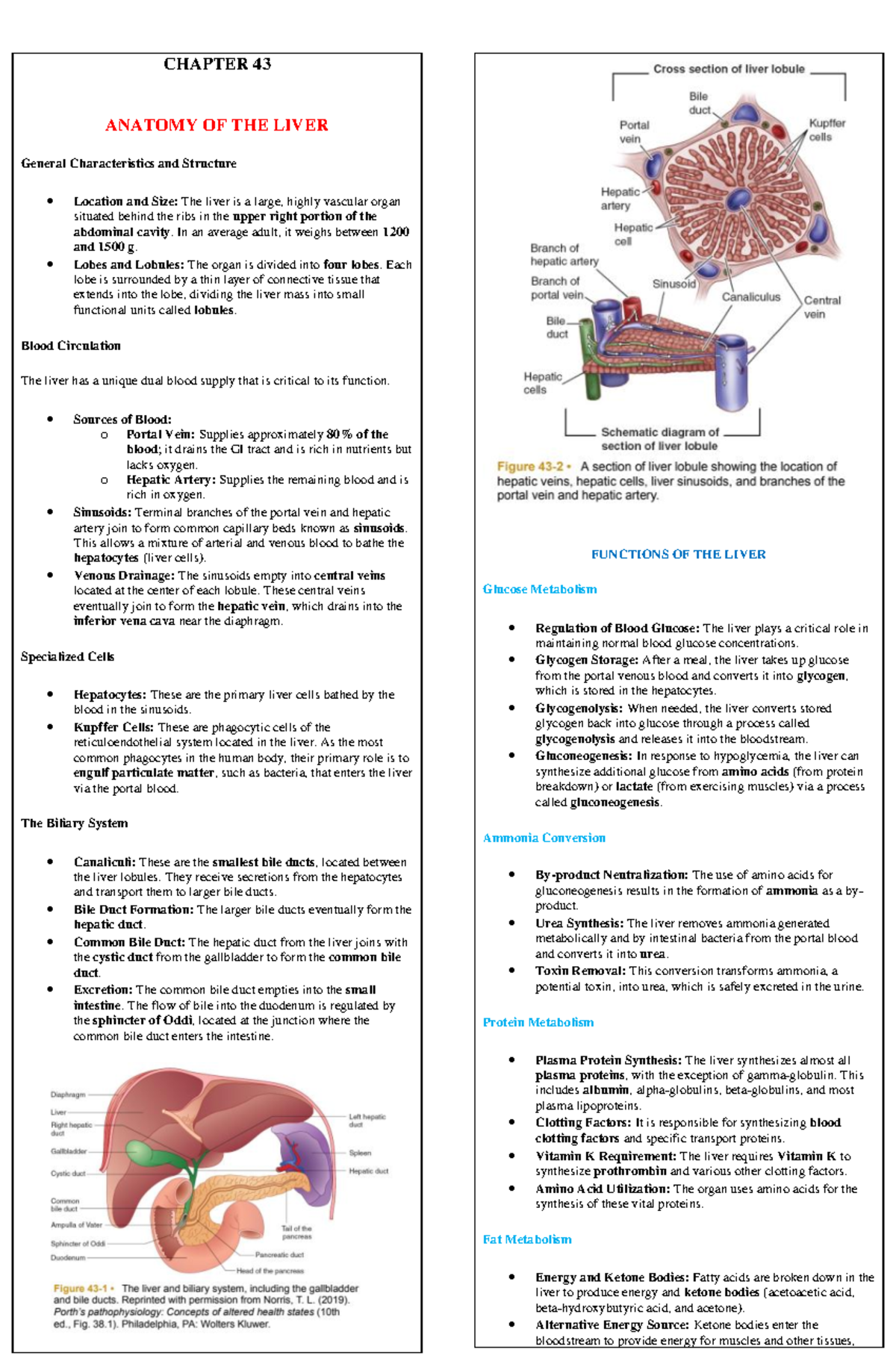 CHAPTER 43 REVIEWER: ANATOMY AND FUNCTIONS OF THE LIVER - Studocu