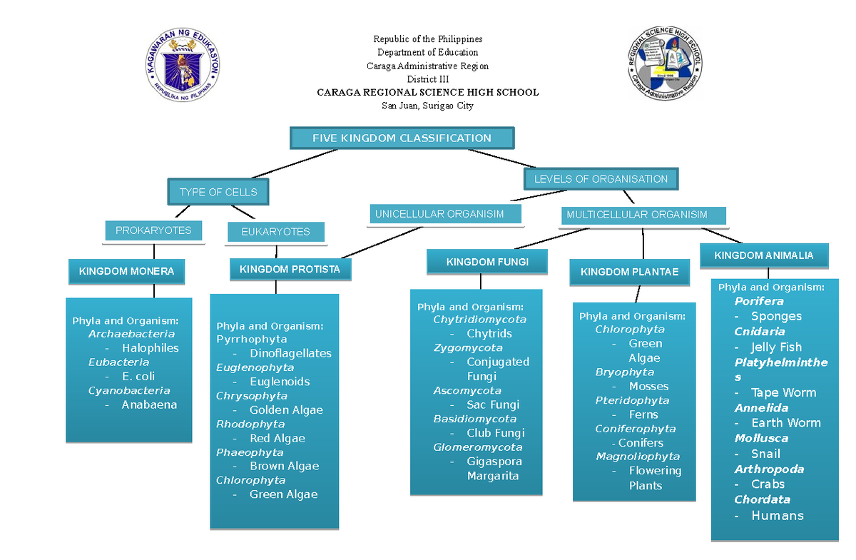 Concept Map of the 5 Kingdom Classification System - Studocu