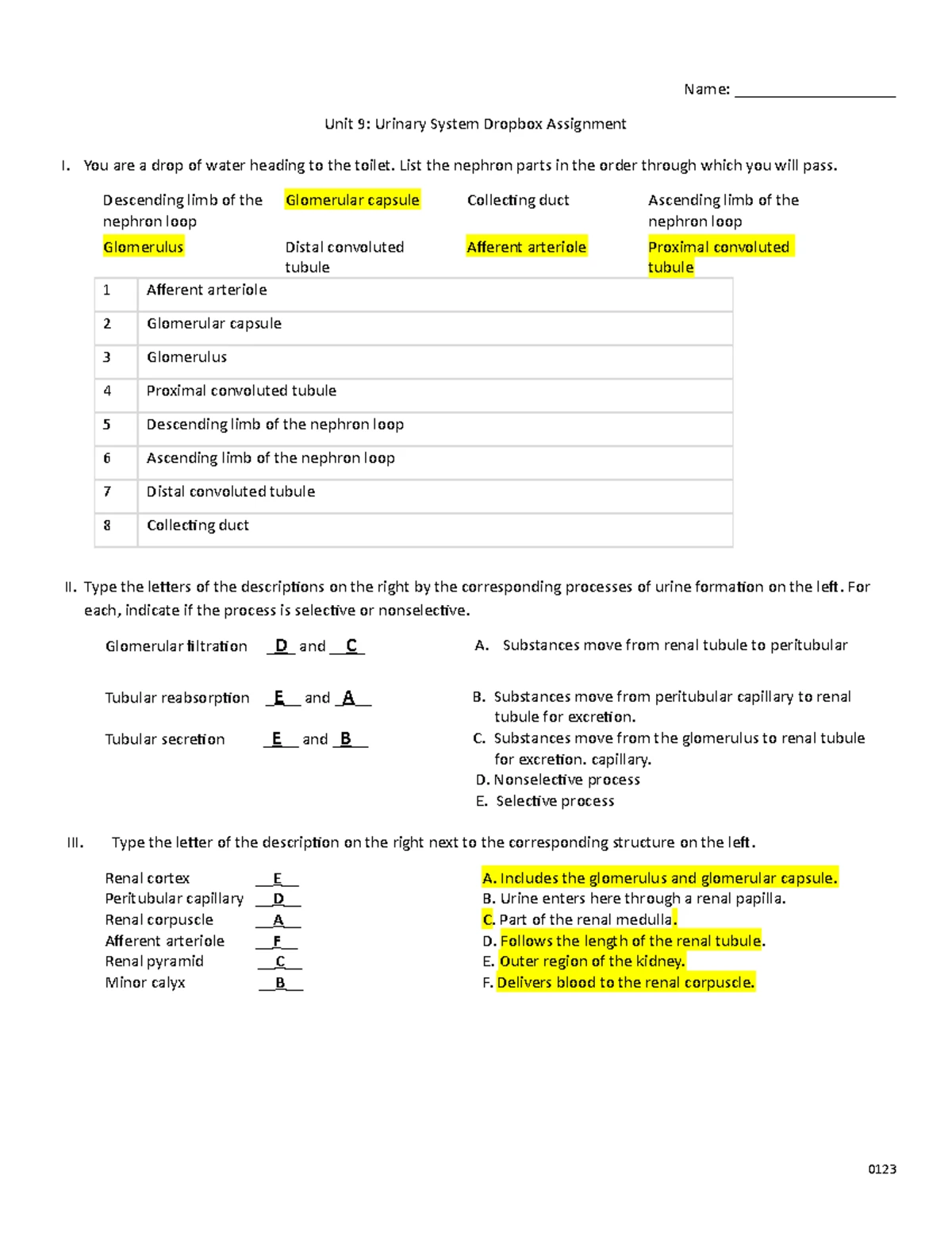 Digestive System Overview: Structure, Function, and Disorders ...