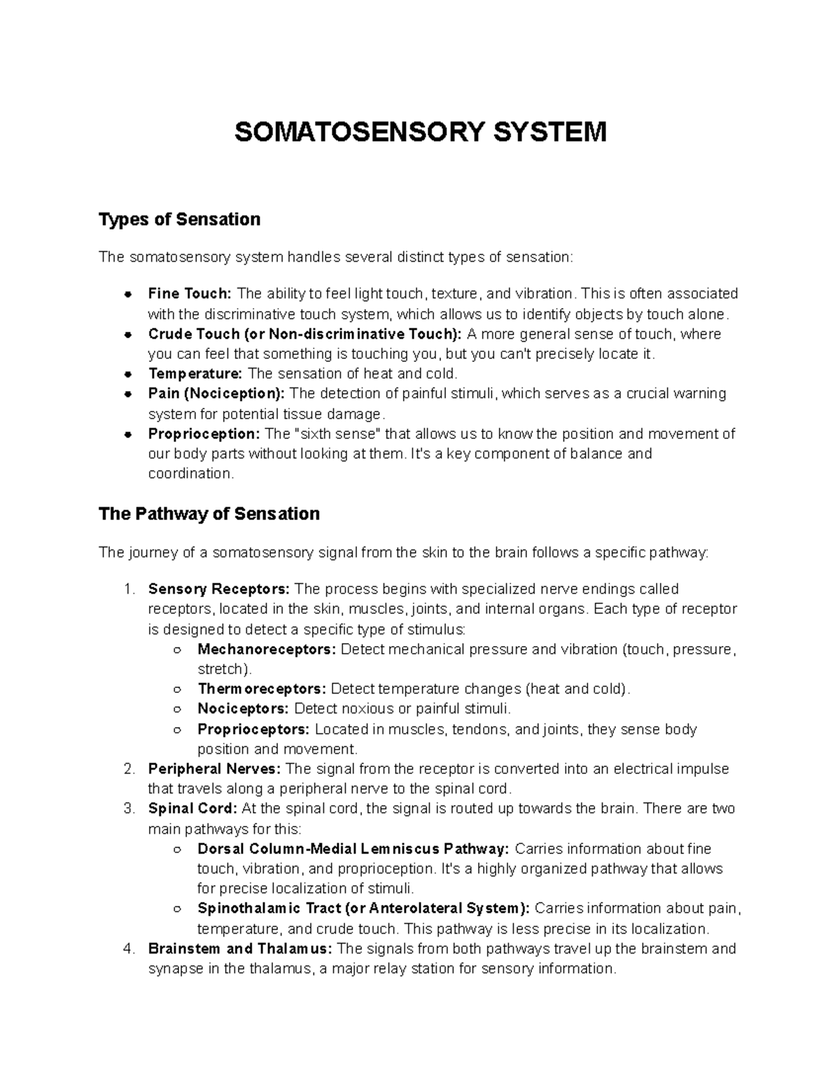 SOMATOSENSORY SYSTEM: Types of Sensation and Pathways Explained - Studocu
