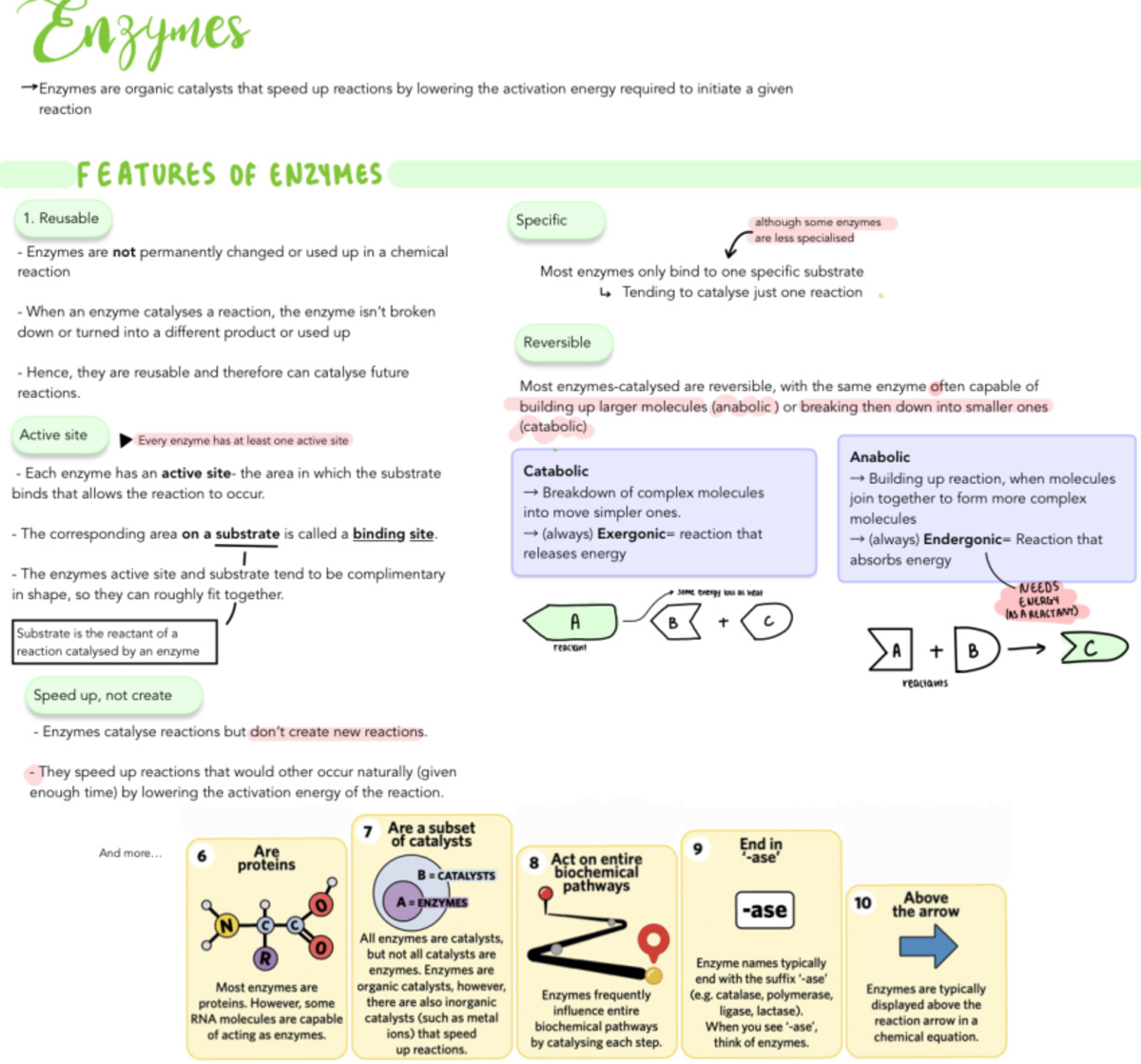 Enzymes - Reusable Specific although some enzymes are less specialised ...