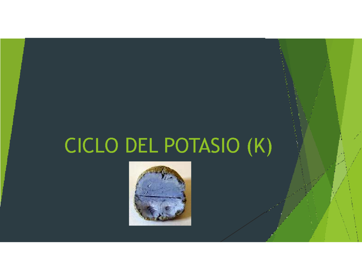 Ciclo del Potasio (K): Importancia y Funciones en Suelos y Organismos ...