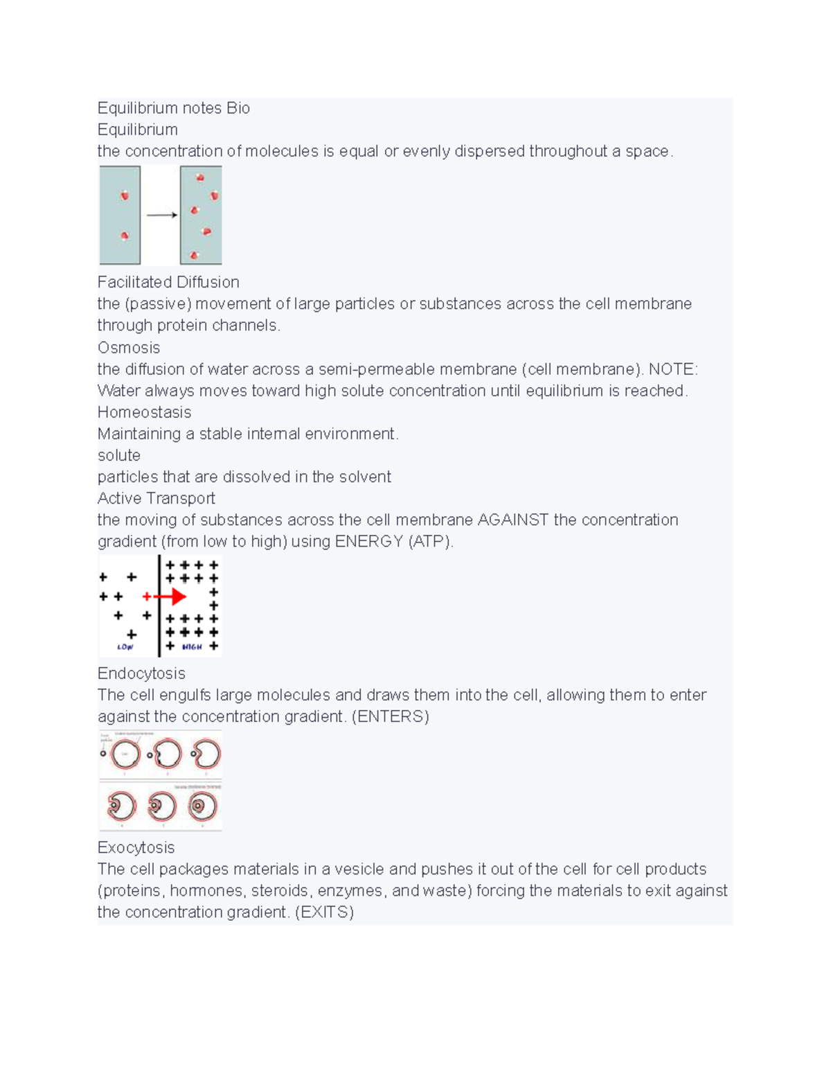 Equilibrium notes Bio - Equilibrium notes Bio Equilibrium the ...