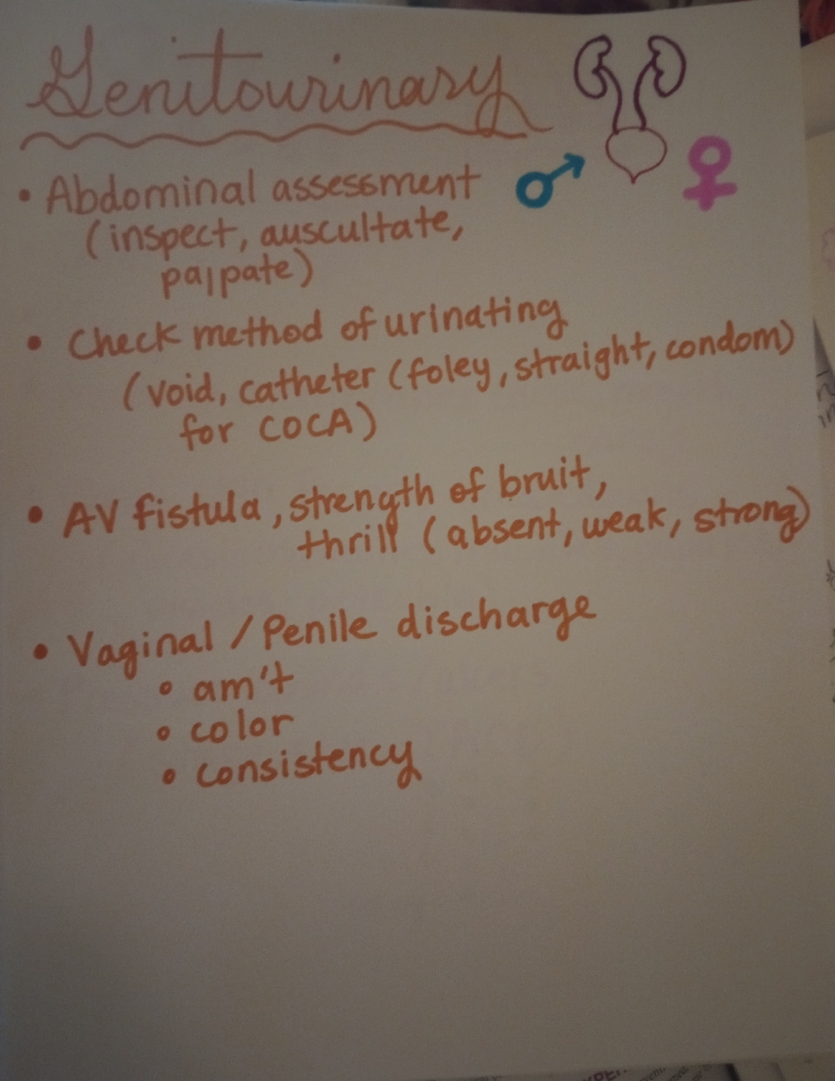 GU Focused Assessment: Genitourinary & Abdominal Evaluation Guide - Studocu