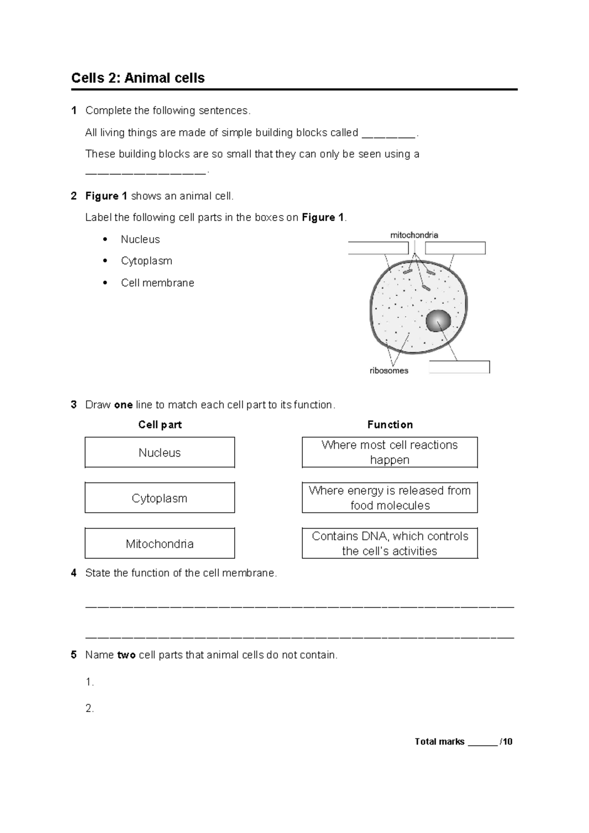 Cells 2: Animal Cell Recall Test Questions and Functions - Studocu