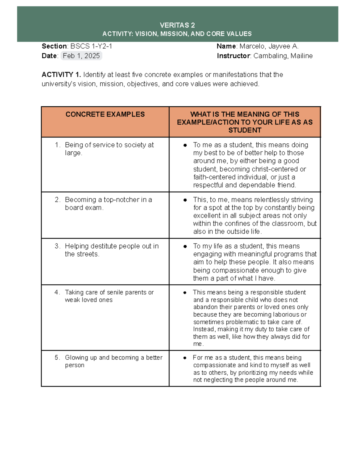 VRTS ACT - vrts act - VERITAS 2 ACTIVITY: VISION, MISSION, AND CORE ...