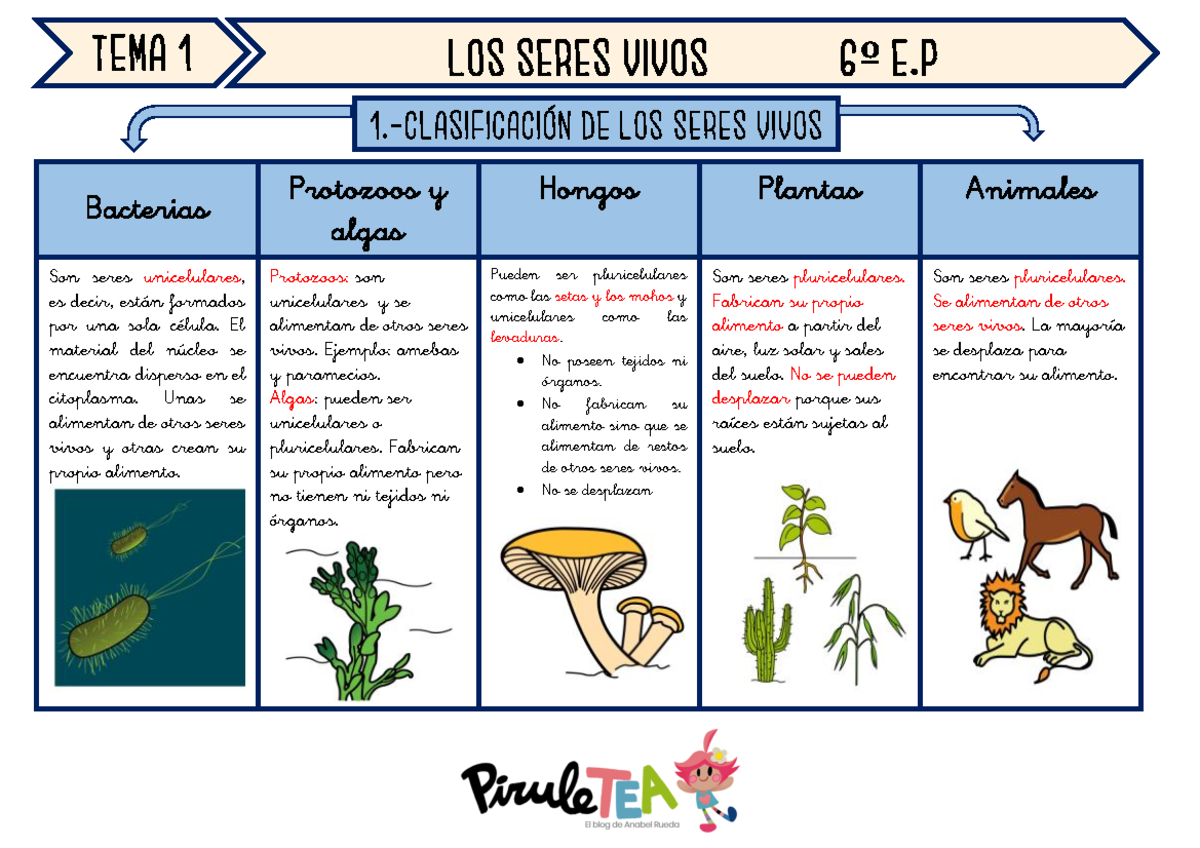 Tema 1: Clasificación y Organización de los Seres Vivos 6º Primaria -  Studocu