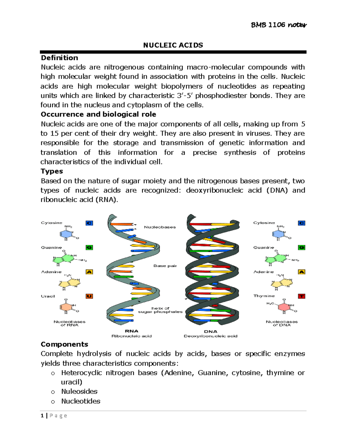Nucleic Acids & Lipids: Definitions, Structures, and Functions - Studocu