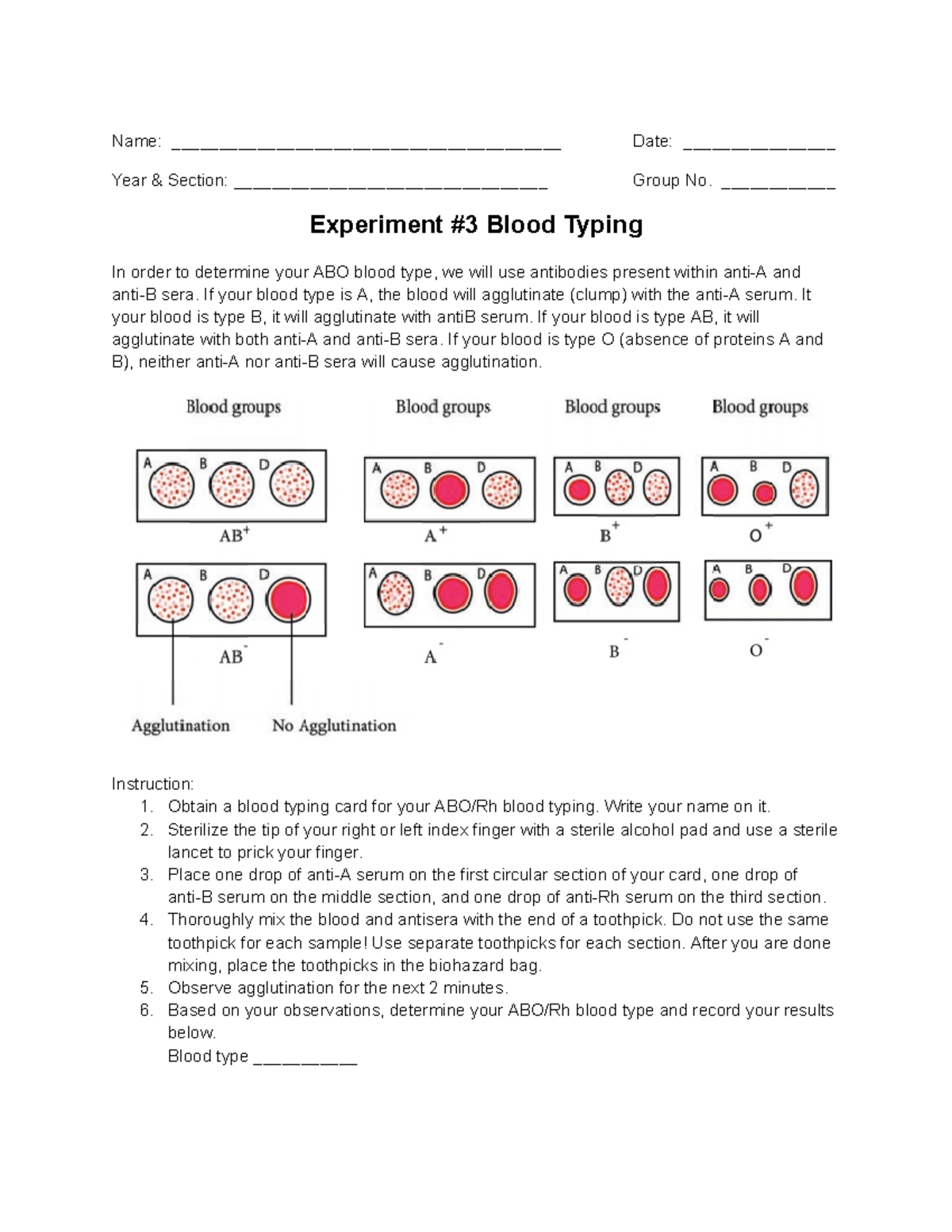 Experiment #3: ABO Blood Typing Procedure and Analysis - Studocu