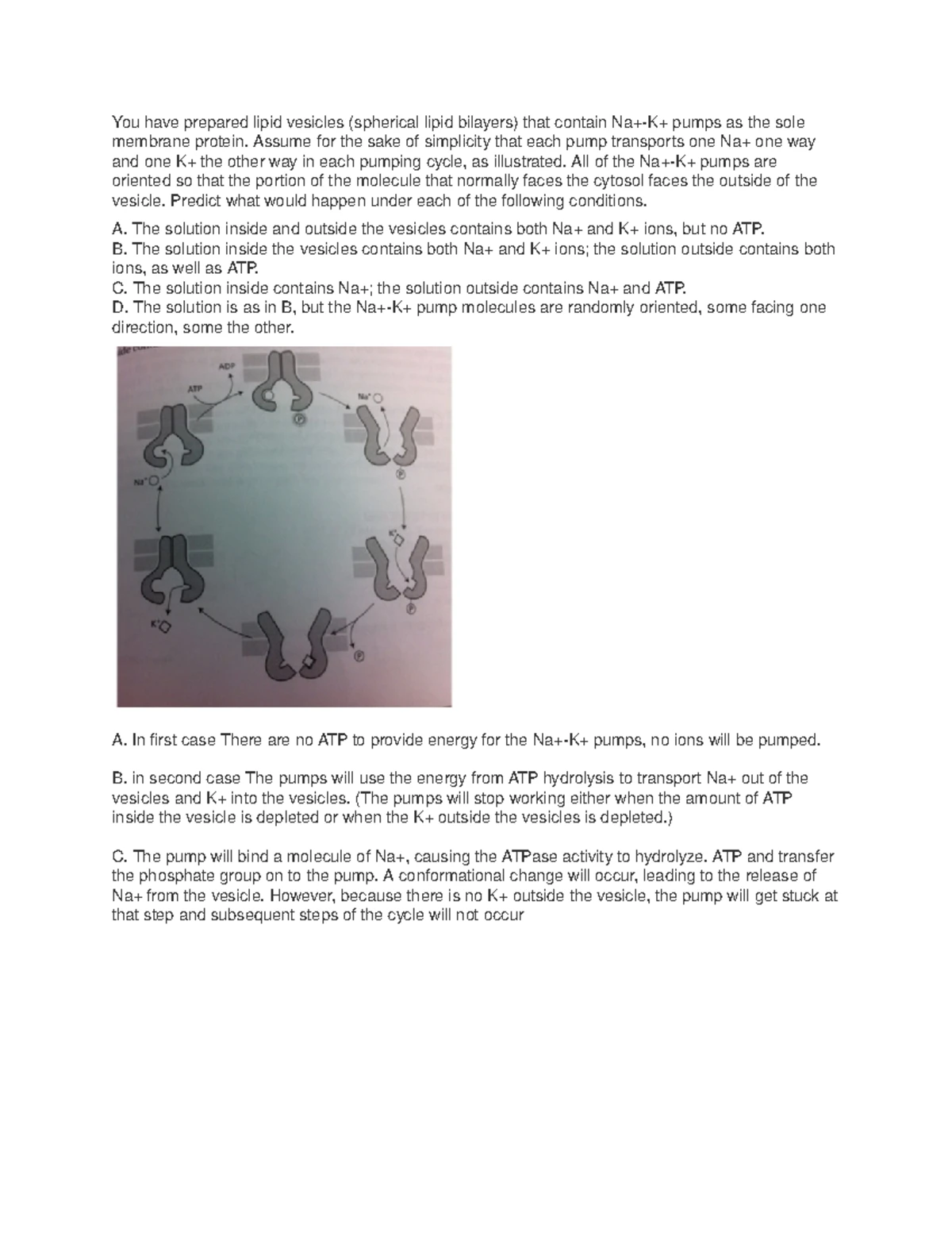 Biology 101 Reading Guide 5: Chapter 8 Patterns of Inheritance - Studocu