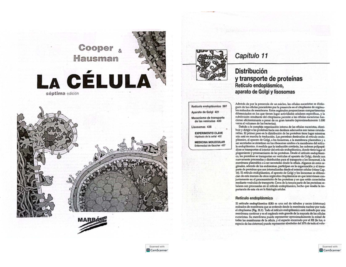 Cuadernillo Biología (célula red - Cooper Hausman Capítulo 11