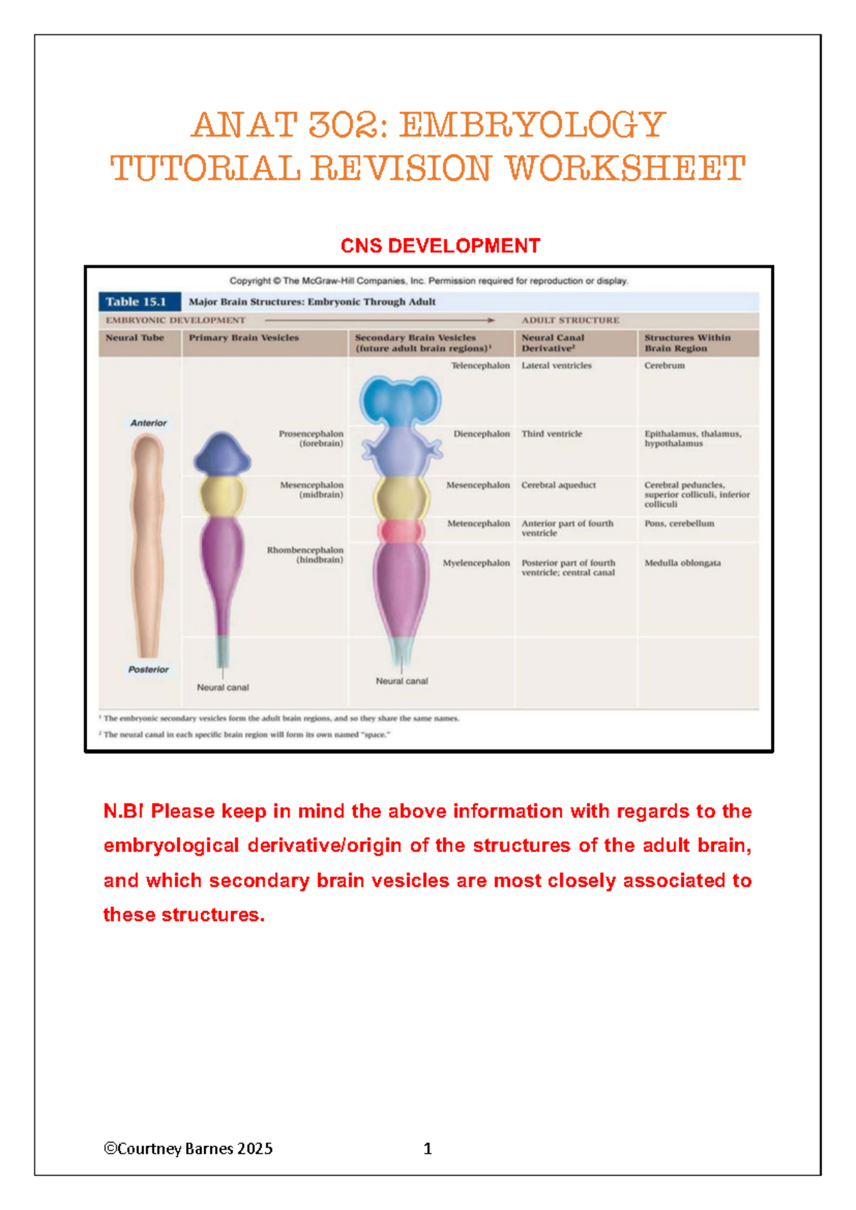 ANAT 302 - Embryology Tutorial Revision Worksheet 1 - Studocu