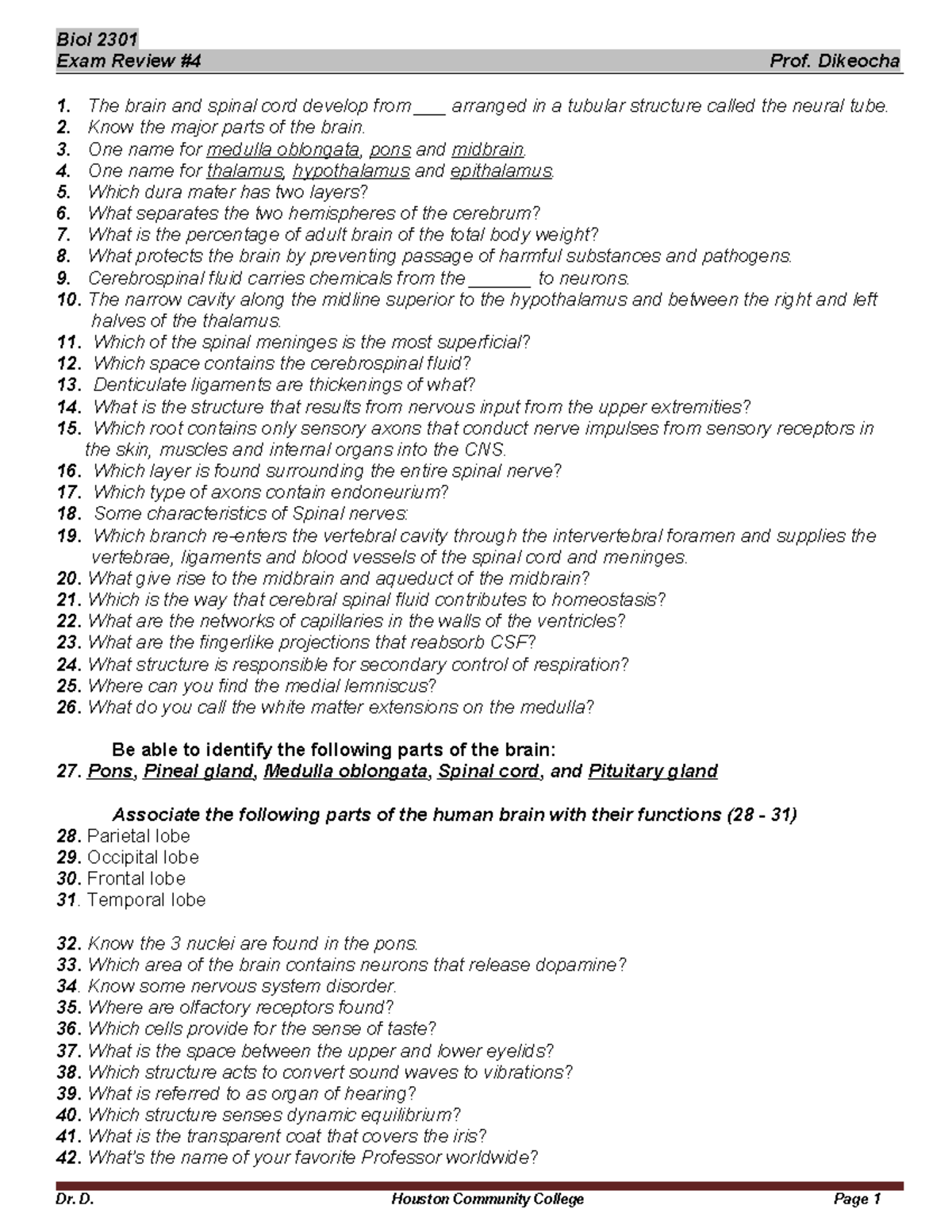 Biol 2301 Final Exam Review: Brain & Spinal Cord Essentials - Studocu